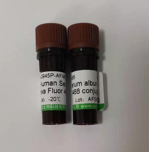 PCR片段纯化回收试剂盒