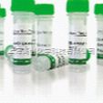 CD4 Antibody/Mouse Anti Human CD4
