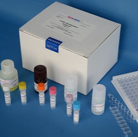 大鼠抗甲状腺过氧化物酶抗体(TPO-Ab)ELISA Kit
