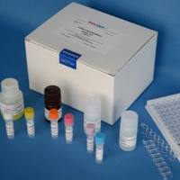 大鼠嗜酸性粒细胞阳离子蛋白(ECP)ELISA Kit