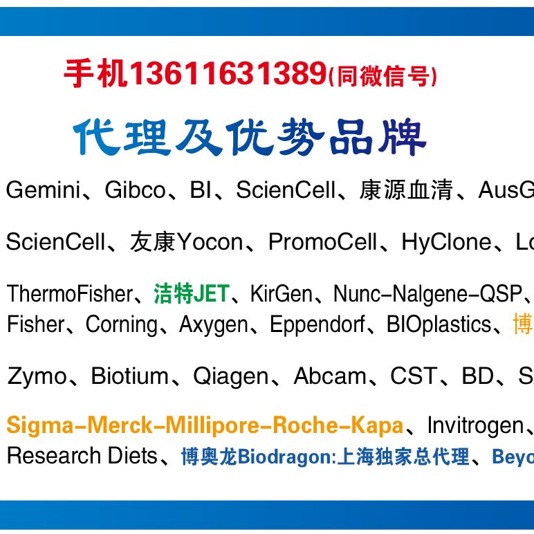 Biotium 41003核酸染料GelRed(替代EB)上海睿安生物13611631389