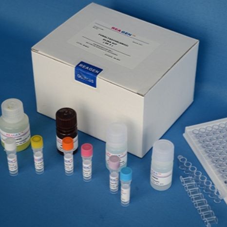 大鼠抗内皮细胞抗体(AECA)ELISA Kit