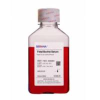 SERANA优等胎牛血清