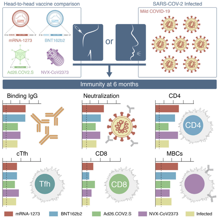 Cell正刊：四种新冠疫苗全面对比，Cytek®全光谱流式细胞仪提供重要细胞免疫数据