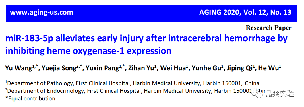 国自然热点 miRNA研究之 “miR-183-5p通过抑制血红素加氧酶-1表达来缓解脑出血后的早期损伤”