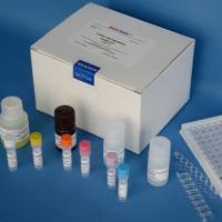 大鼠活化素A(ACV-A)ELISA Kit