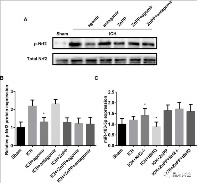 技术资料图片10
