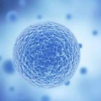 点击化学 BCN-PEG-NH2/Amine