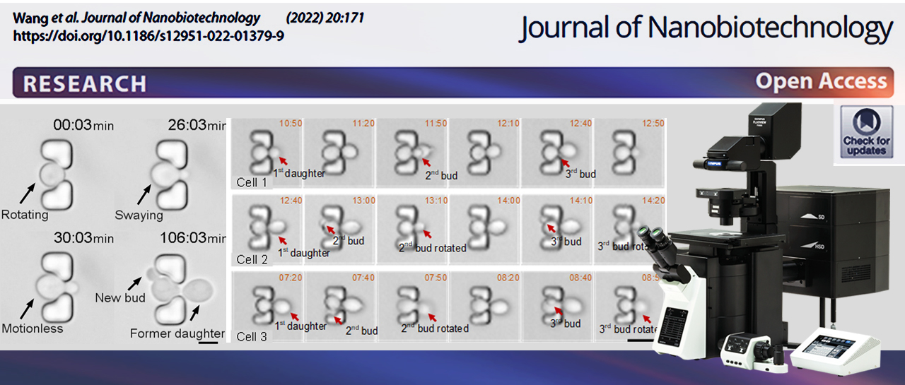 Make it Evident丨共聚焦&微流控：实现酿酒酵母单细胞复制寿命检测