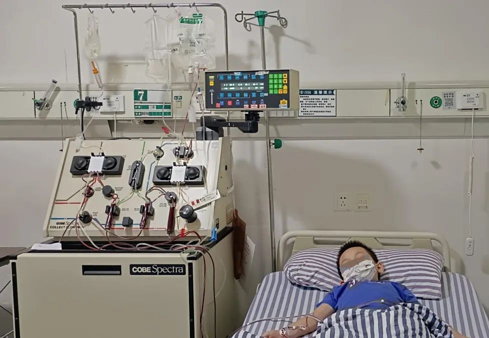 两岁幼女罹患「儿童白血病之王」，广西壮族自治区人民医院为其进行造血干细胞移植术