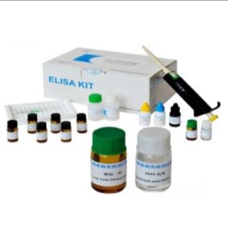 大鼠胶质细胞系来源的神经营养因子(GDNF)ELISA Kit
