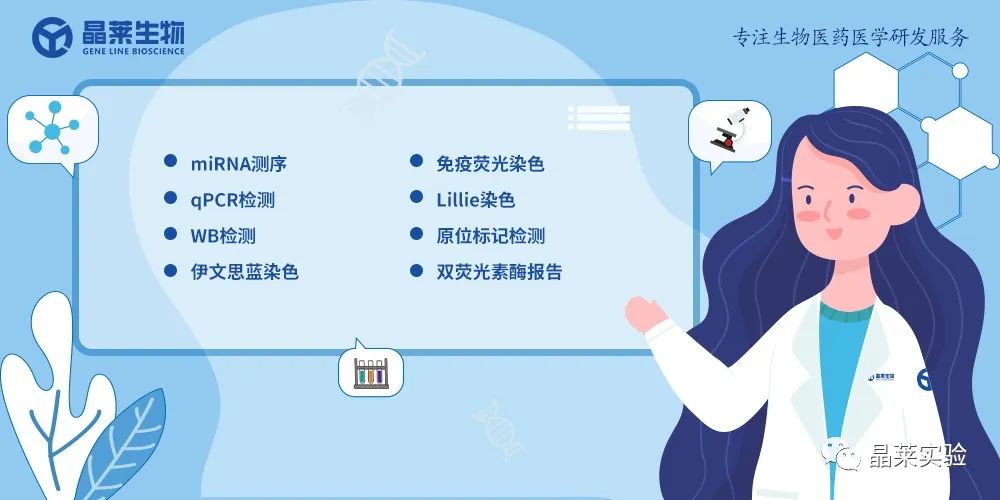 技术资料图片11