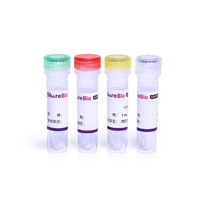 无标签蛋白预染蛋白Marker（（8-180kDa）