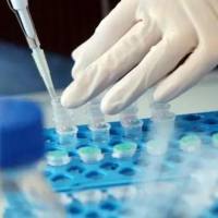 靶向肽修饰聚乙二醇磷脂/DSPE-PEG- YIGSR/聚乙二醇-磷脂- YIGSR