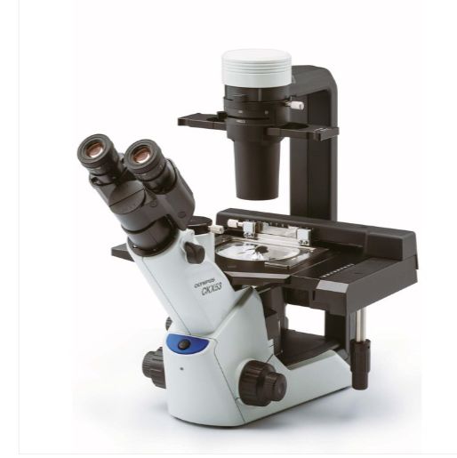 日本奥林巴斯ckx53倒置荧光显微镜