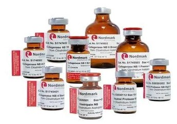 胶原酶Protocol分享系列（二）：胶原酶残留检测方案助力生物制品质控以及治疗安全性