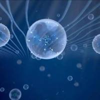 靶向聚合物 DSPE-PEG- KRWWKWWRR/聚乙二醇-磷脂- KRWWKWWRR