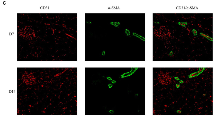 技术资料图片10