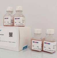 SERANA免分装特级胎牛血清