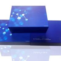 糜蛋白酶(Chymotrypsin)测试盒-可见分光光度法