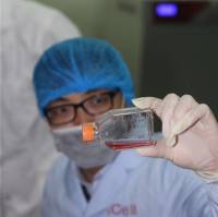 qPCR实验技术/CRO整体实验外包