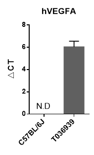 关注老年疾病:年龄相关性黄斑变性(AMD)