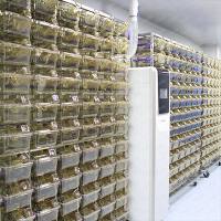 晶莱生物一站式CRO技术服务