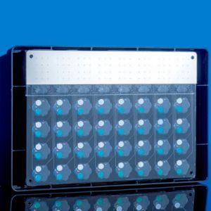 新一代微流控全参数监测梅花板（Type2，1块/包）