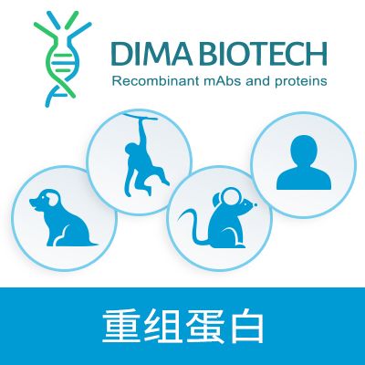 人 CLDN6 全长膜蛋白-synthetic nanodisc|Human CLDN6 full length protein-synthetic nanodisc