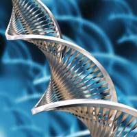 磷脂聚乙二醇葡萄糖  DSPE-PEG-Glucose