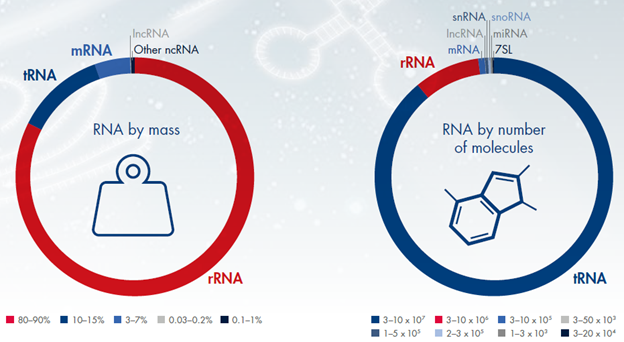 RNA 提取攻略之样本采集及稳定篇