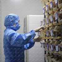 动物饲养服务
