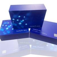 磷脂酶C(PLC)测试盒_可见分光光度法