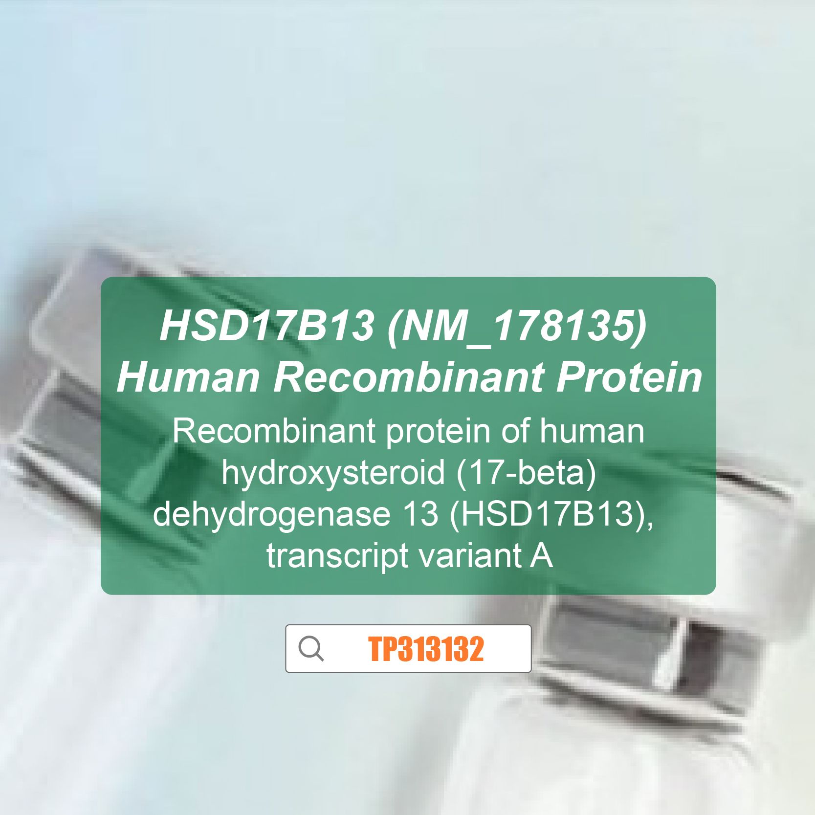 HSD17B13 (NM_178135) Human Recombinant Protein