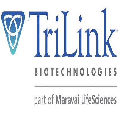 CleanCap EGFP mRNA (5moU)/Trilink独家代理商