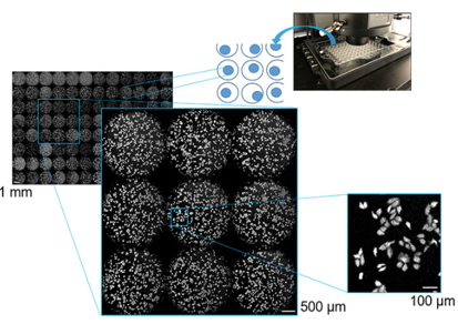 全新单细胞生物发光解决方案