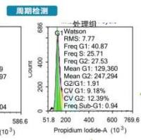 流式检测-周期检测