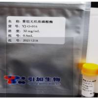 重组无机焦磷酸酶