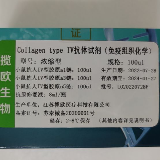 collagen type IV胶原抗体Alport免疫荧光试剂盒