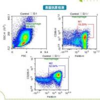 流式检测-表面抗原检测