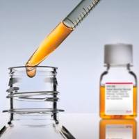  F8318胎牛血清，澳大利亚来源，无菌，适合细胞培养，适合杂交瘤细胞