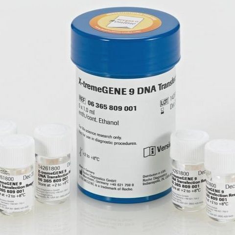 罗氏DNA转染试剂
