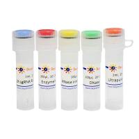 BeyoCRISPR™ One-Step sgRNA Synthesis Kit