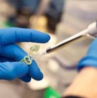 免疫组库测序服务(TCR/BCR测序)---ImmuHub®