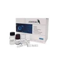 小鼠白介素6(IL-6)ELISA Kit