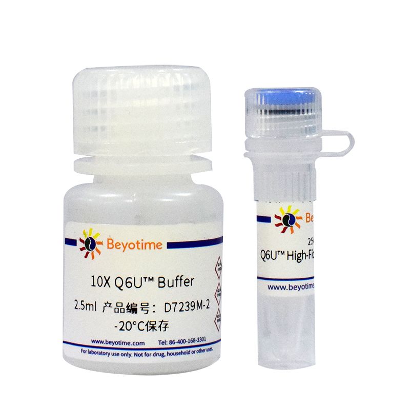 Q6U™ High-Fidelity DNA Polymerase
