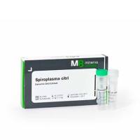 支原体基因组DNA（特异性验证）