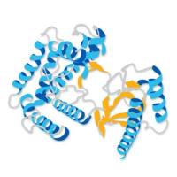 539480 Proteinase K, Tritirachium album