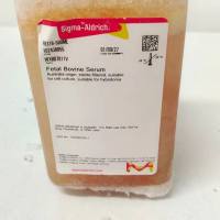 现货供应Sigma货号F8318澳洲胎牛血清13611631389上海睿安生物