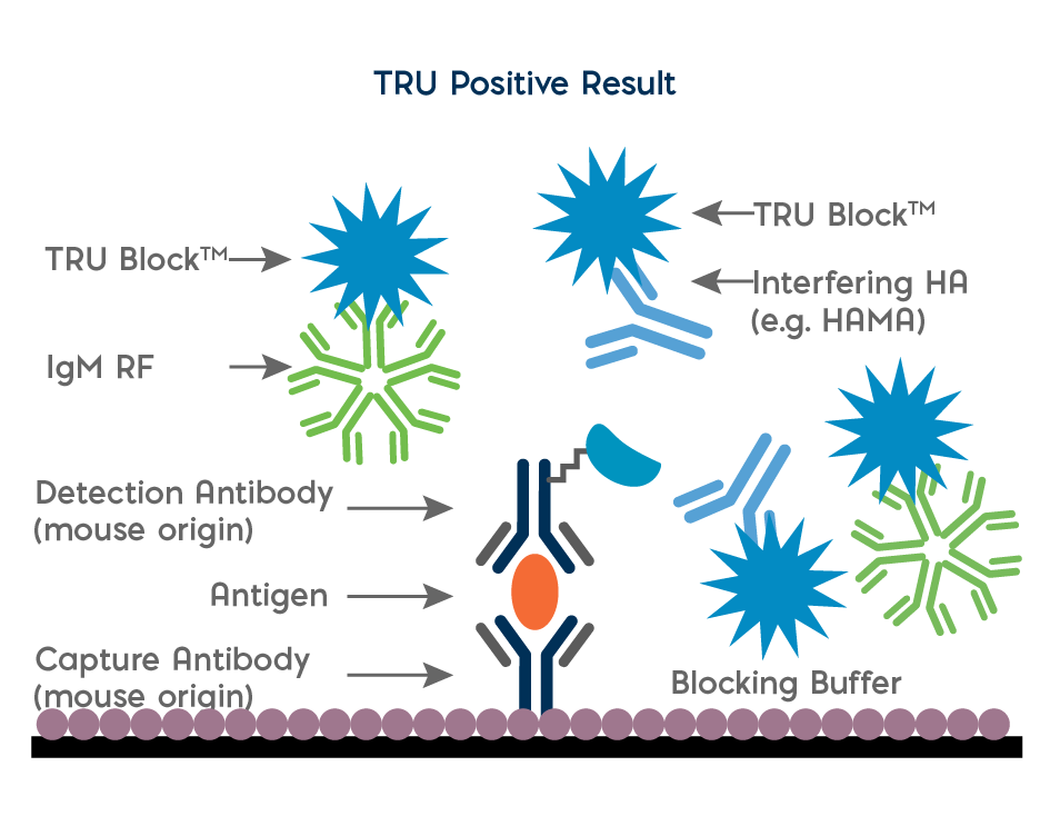 免疫阻断剂 Tru Block, HAMA 阻断剂